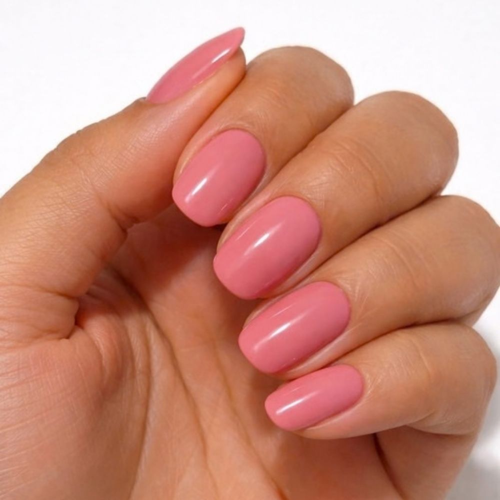 Coral Romance UVG60205